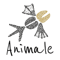 Mda Sticker by MD Pictures