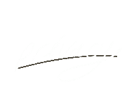 Exo Privacy Sticker