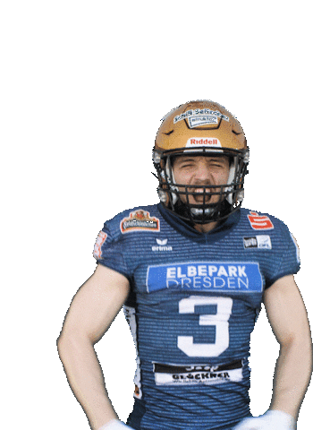 Football Flex Sticker by Dresden Monarchs