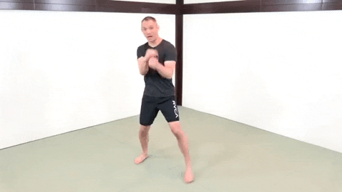 ritchieyip giphygifmaker boxing punching GIF