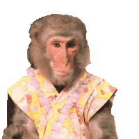 Four Seasons Fun Sticker