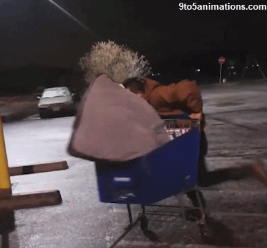 snow fail GIF