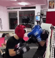 OreGinn fight punch rage furious GIF
