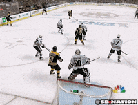 nhl GIF by SB Nation