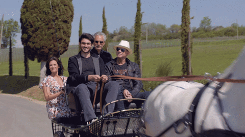 GIF by ThirteenWNET