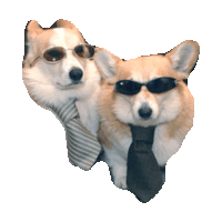 sunglasses corgi STICKER by imoji