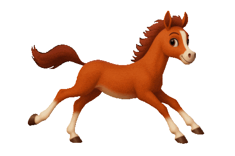 Fohlen Foal Sticker by Glamour by Reitsport SIBO