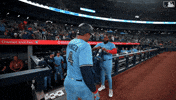 Blue Jays Baseball GIF by Toronto Blue Jays