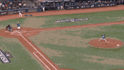 Home Run Canada GIF by Toronto Blue Jays
