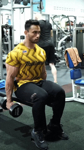 BamBamDoubleBB giphyupload dumbbell seated hammer curl GIF