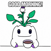 Good Morning Hello GIF by Magic Eden