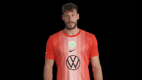 Germany No GIF by VfL Wolfsburg