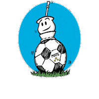 Futbol Argentina Sticker