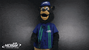 MISpeedway hello hi hey waving GIF