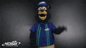 MISpeedway hello hi hey waving GIF