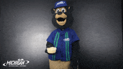 MISpeedway eating nascar popcorn brooks GIF