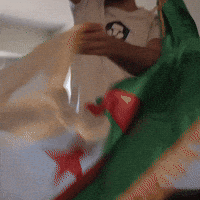 Ziam GIF