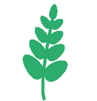 Summer Leaf Sticker by Medalgo