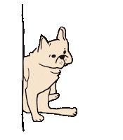 Confused Dogs Sticker