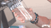 Horse Racing Beer GIF by Del Mar Racing