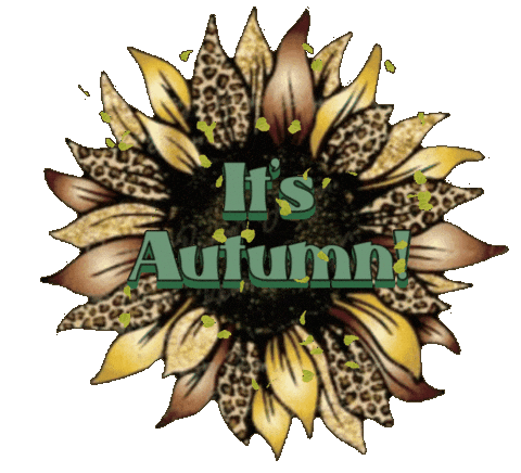 SouthBronxNative giphyattribution fall its autumn Sticker