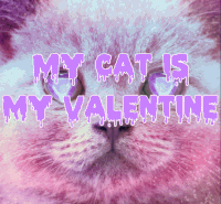 Valentines Day GIF