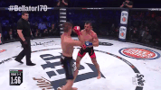 GIF by Bellator