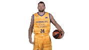 Liga Endesa Basketball Sticker by ACB