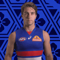 Aussie Rules Football Dogs GIF by Western Bulldogs