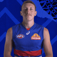 Aussie Rules Football Dogs GIF by Western Bulldogs