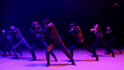 k-pop exo GIF