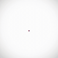 Bleed Blue World Cup GIF by SBI Life