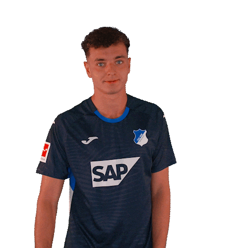 Sport Bundesliga Sticker by TSG Hoffenheim
