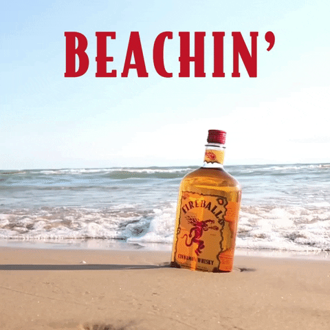 happy hour beach GIF by Fireball Whisky
