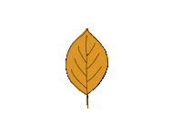 Fall Autumn Sticker