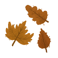 sonnemondundstina fall autumn leaves herbst Sticker