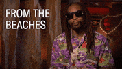 Lil Jon Abc GIF by Bachelor in Paradise