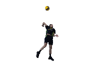 Volleyball Serve Sticker by Donau Volleys