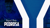 Soccer Bundesliga GIF by Karlsruher SC