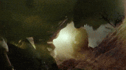 Babu Mahesh GIF