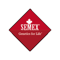 Milch Semex Sticker by SemexDeutschland