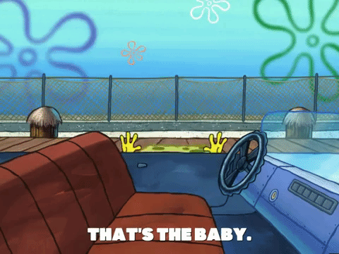 season 6 GIF by SpongeBob SquarePants