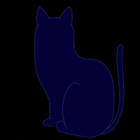 Cat Halloween GIF by Homework Studio