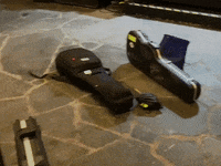 Born Losers GIF by Stray Fossa