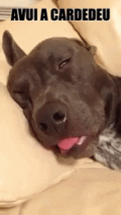 culturacardedeu culturacardedeu GIF