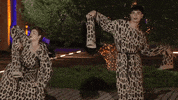 Gntmgr GIF by Star Channel TV
