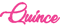 Planning Xv Sticker by Moda 2000 Inc