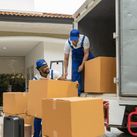 michigan-to-texas giphygifmaker giphyattribution GIF