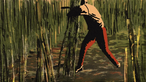 Sugar Sugarcane GIF by Duilio Gatti