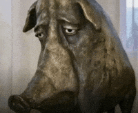 Sad Come On GIF